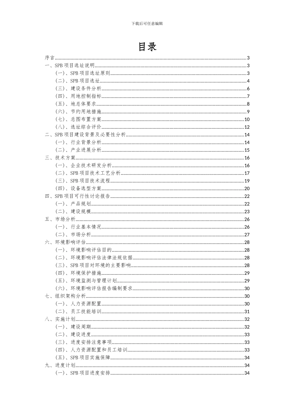 2024年SPB项目投资分析及可行性报告_第2页
