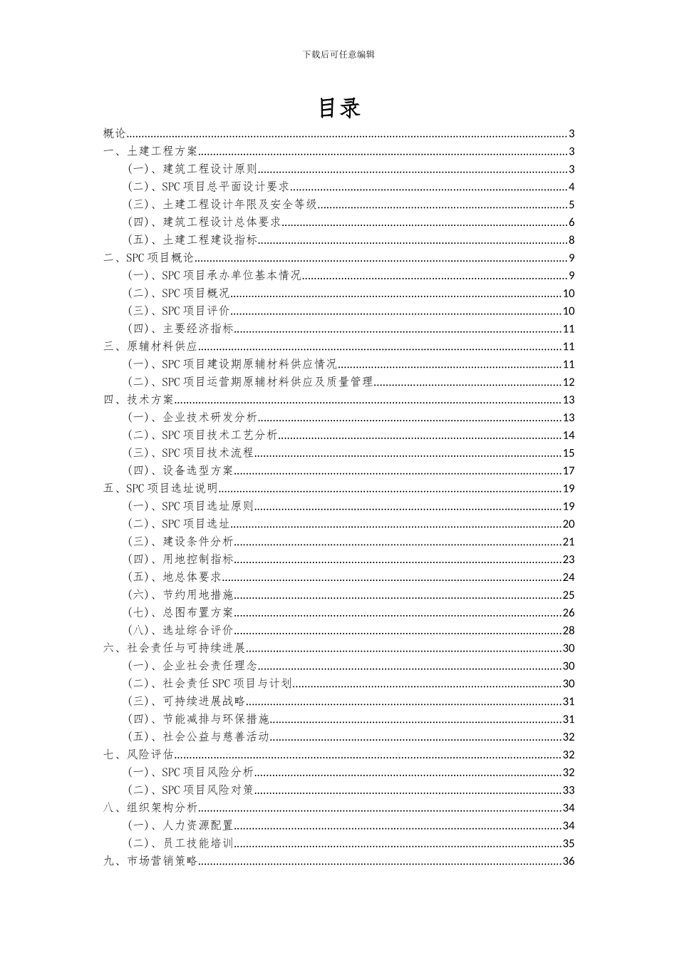 2024年SPC项目可行性分析报告_第2页