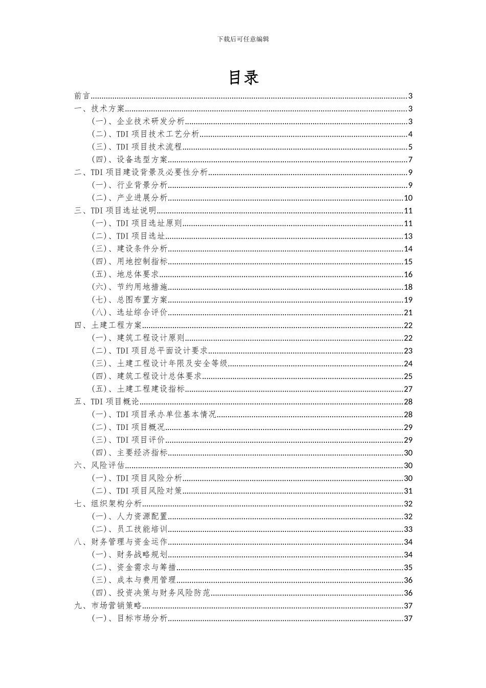 2024年TDI项目可行性分析报告_第2页