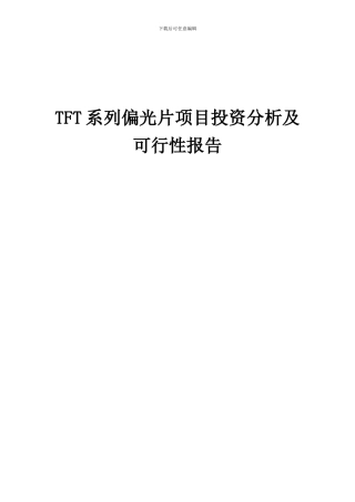 2024年TFT系列偏光片项目投资分析及可行性报告