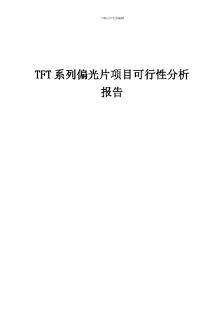 2024年TFT系列偏光片项目可行性分析报告