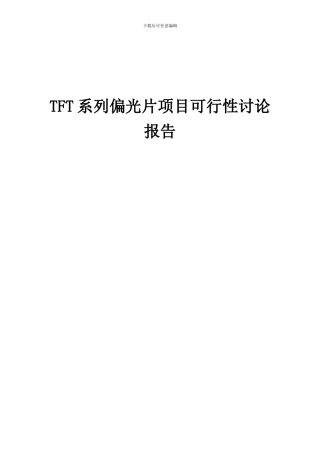 2024年TFT系列偏光片项目可行性研究报告