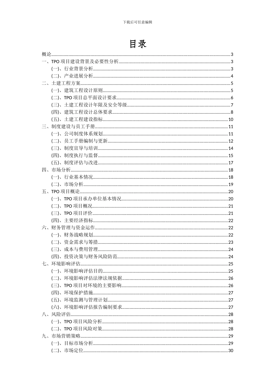 2024年TPO项目可行性分析报告_第2页
