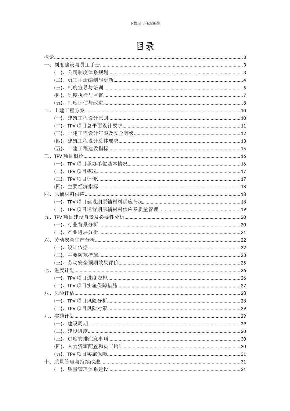 2024年TPV项目可行性分析报告_第2页