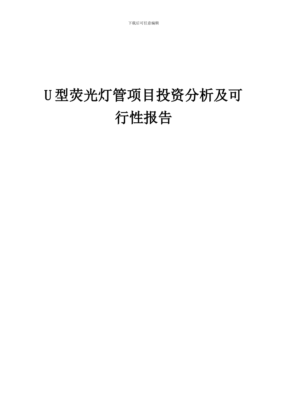 2024年U型荧光灯管项目投资分析及可行性报告_第1页