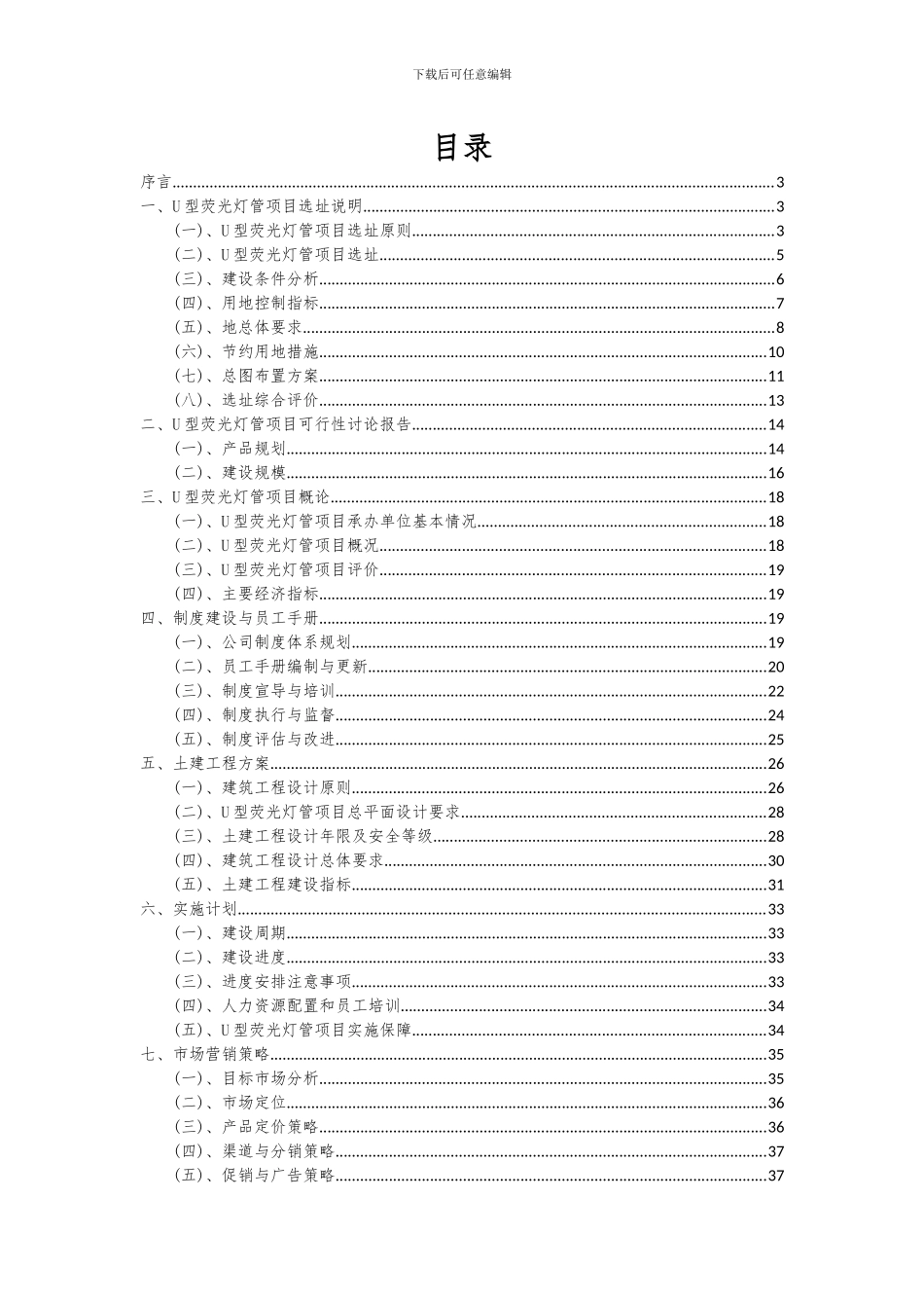 2024年U型荧光灯管项目投资分析及可行性报告_第2页