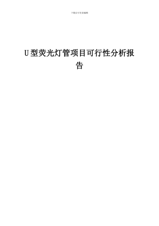 2024年U型荧光灯管项目可行性分析报告