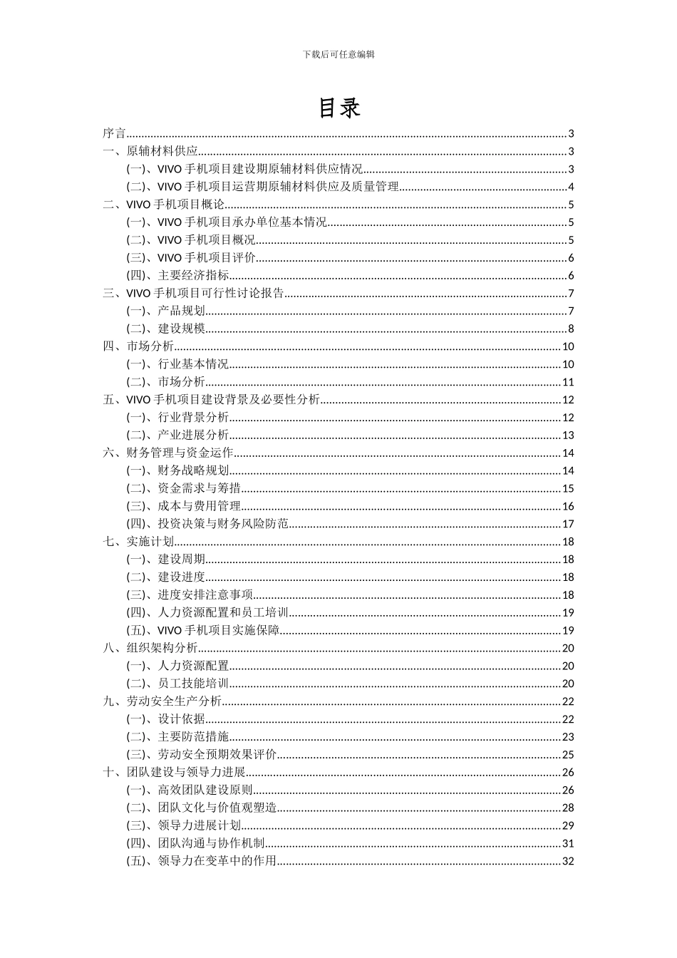 2024年VIVO手机项目深度研究分析报告_第2页