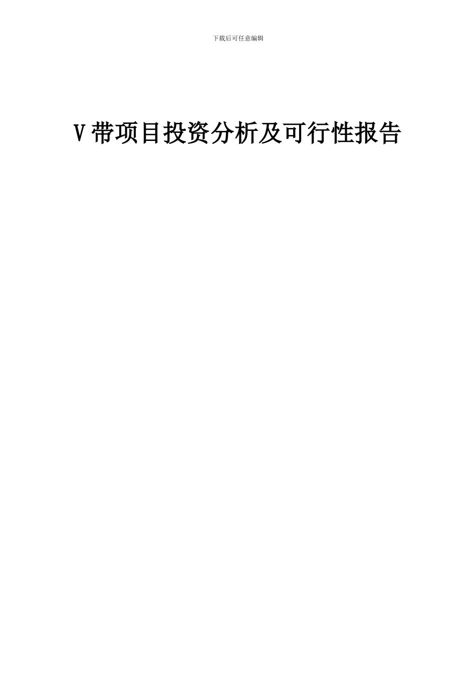 2024年V带项目投资分析及可行性报告_第1页