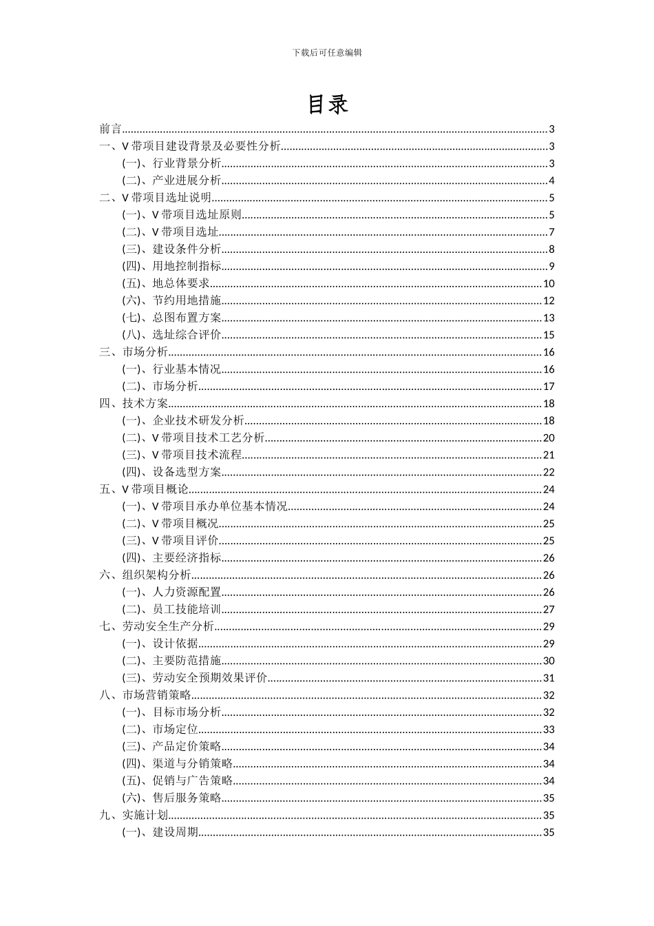 2024年V带项目投资分析及可行性报告_第2页