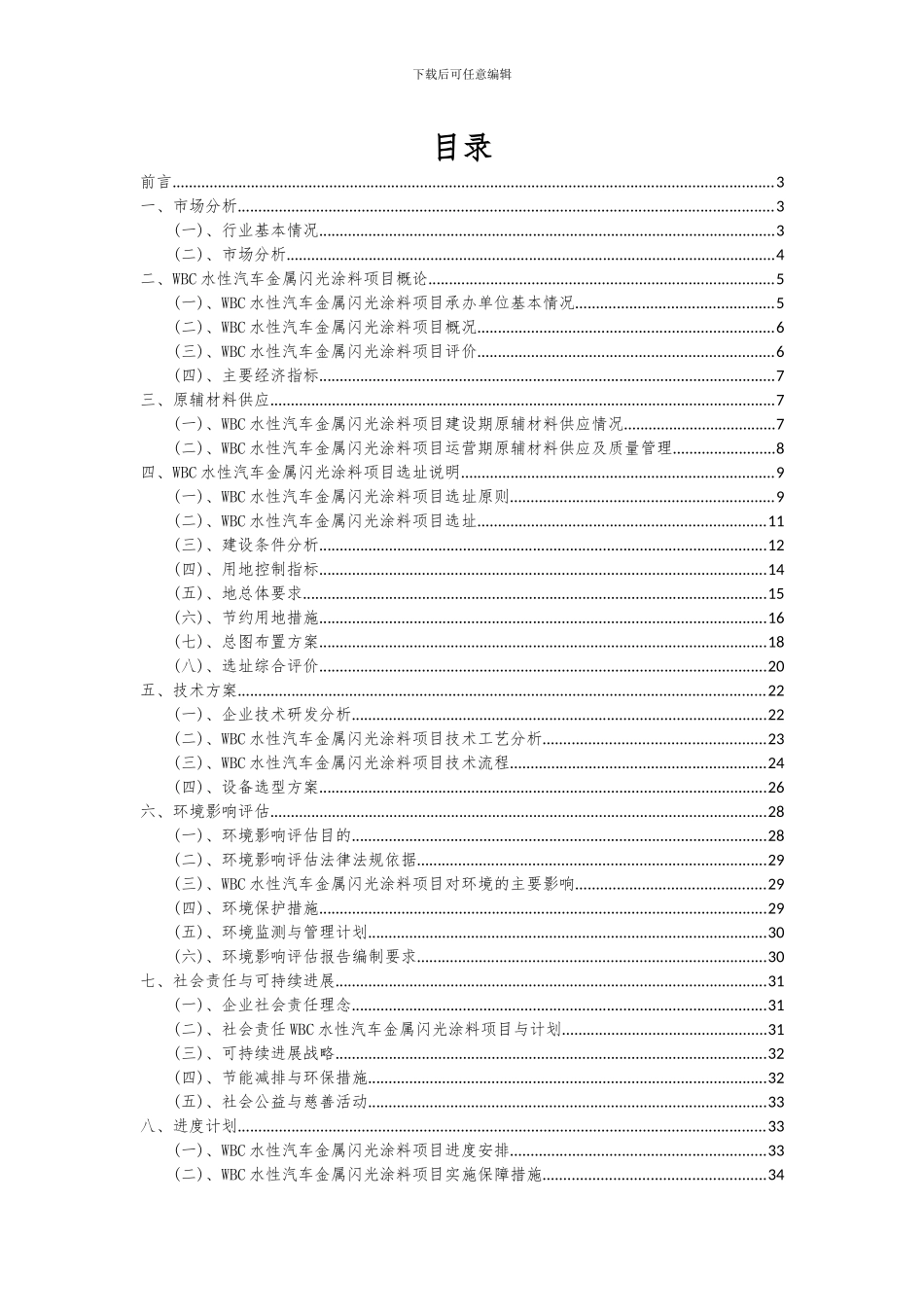 2024年WBC水性汽车金属闪光涂料项目投资分析及可行性报告_第2页