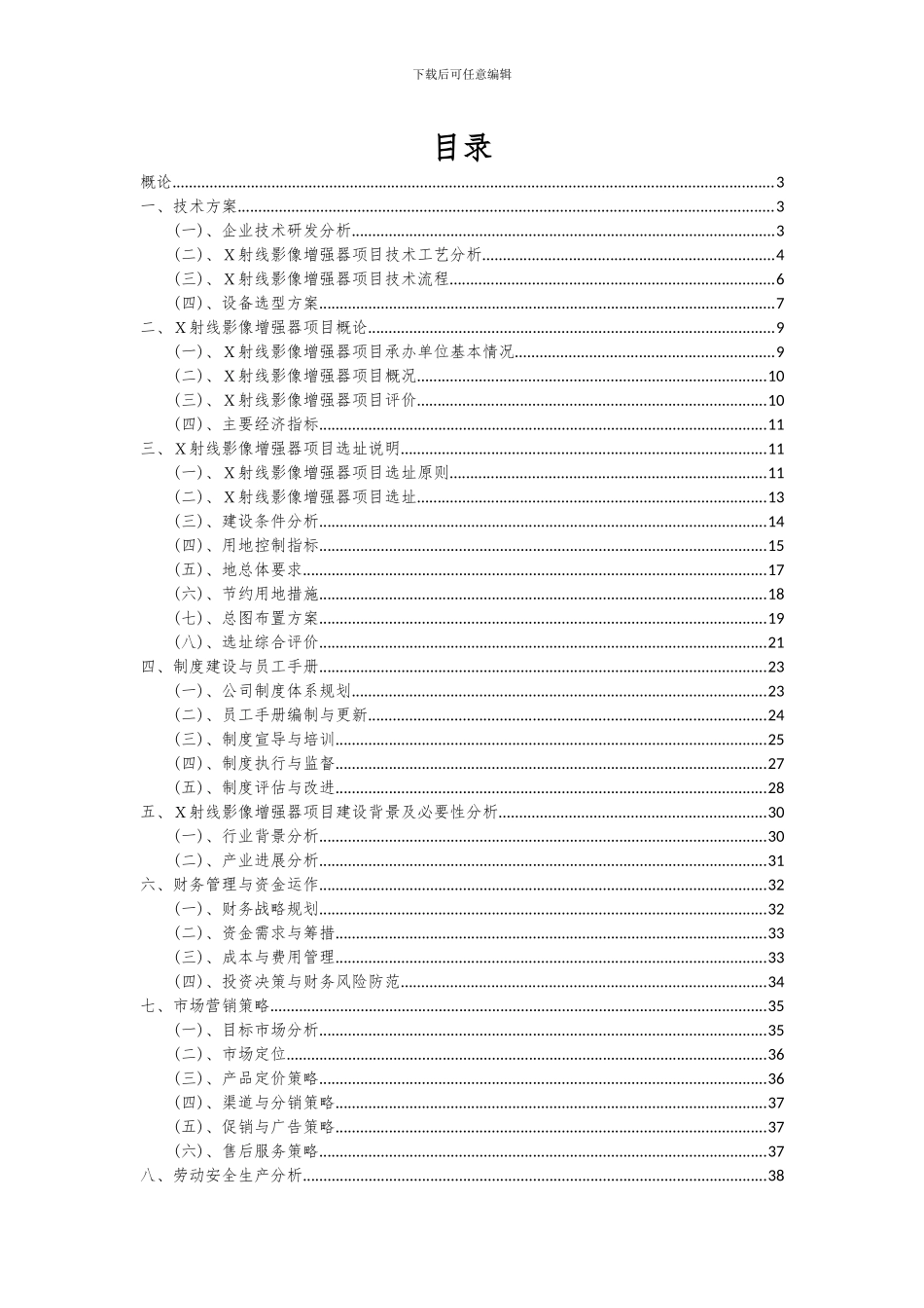 2024年X射线影像增强器项目投资分析及可行性报告_第2页