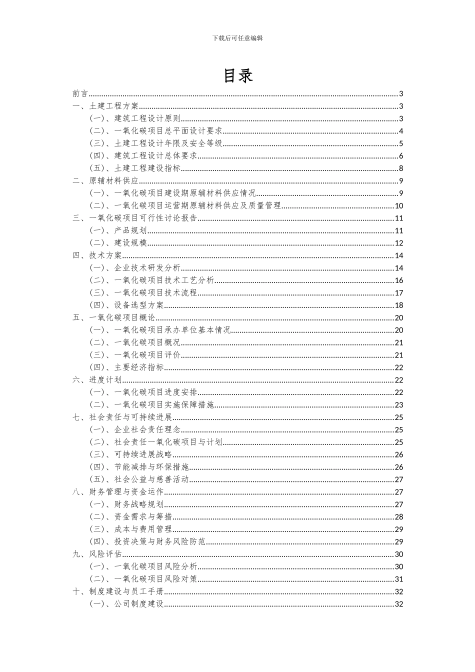 2024年一氧化碳项目深度研究分析报告_第2页
