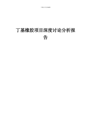 2024年丁基橡胶项目深度研究分析报告