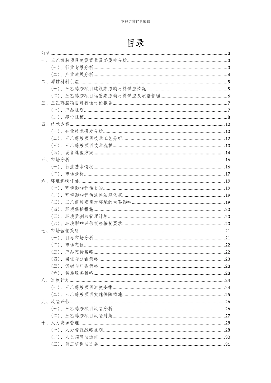 2024年三乙醇胺项目可行性分析报告_第2页