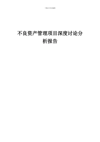 2024年不良资产管理项目深度研究分析报告