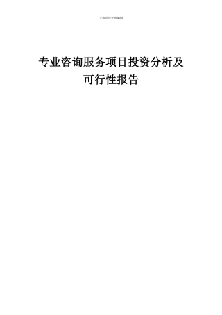 2024年专业咨询服务项目投资分析及可行性报告