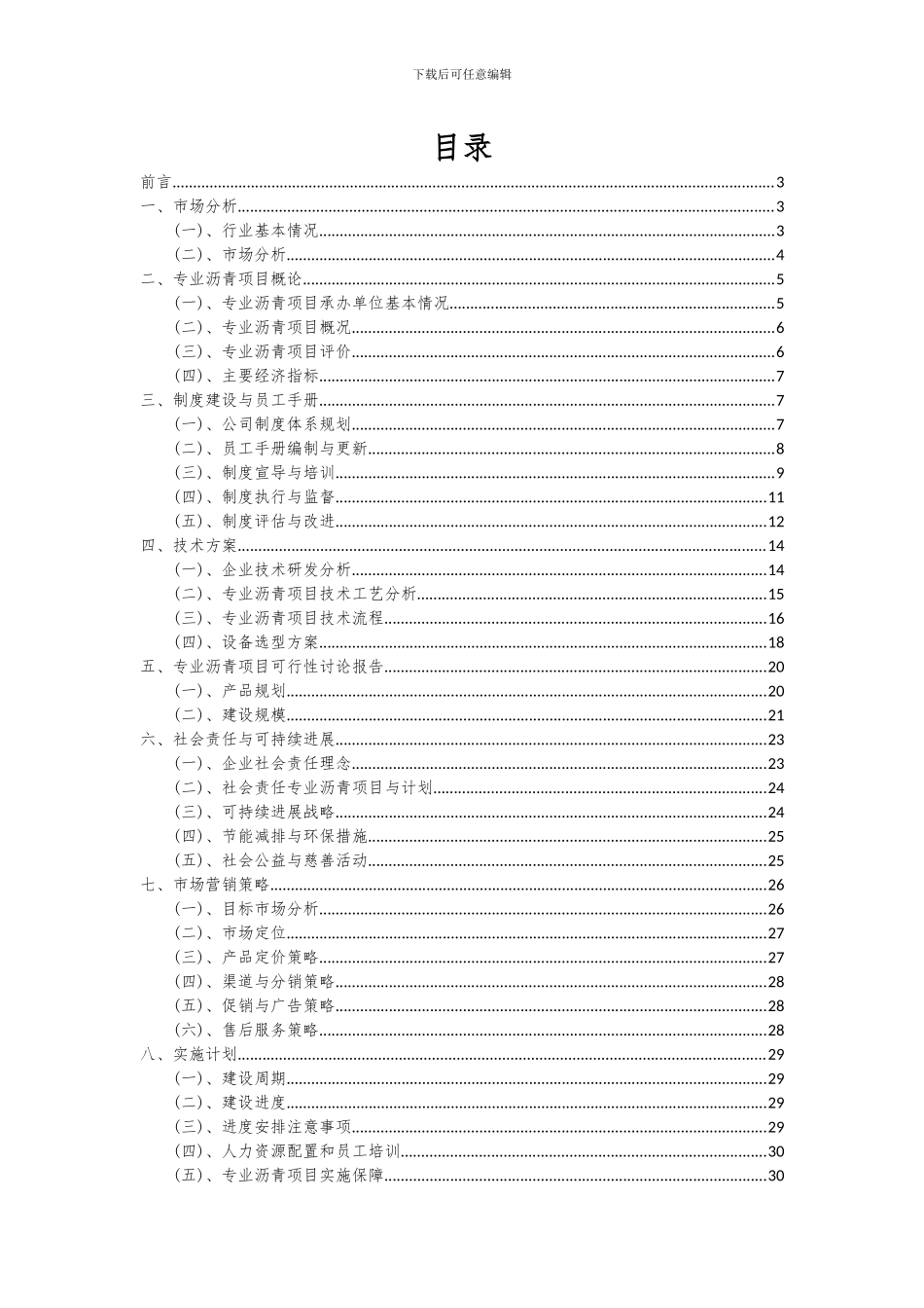 2024年专业沥青项目投资分析及可行性报告_第2页
