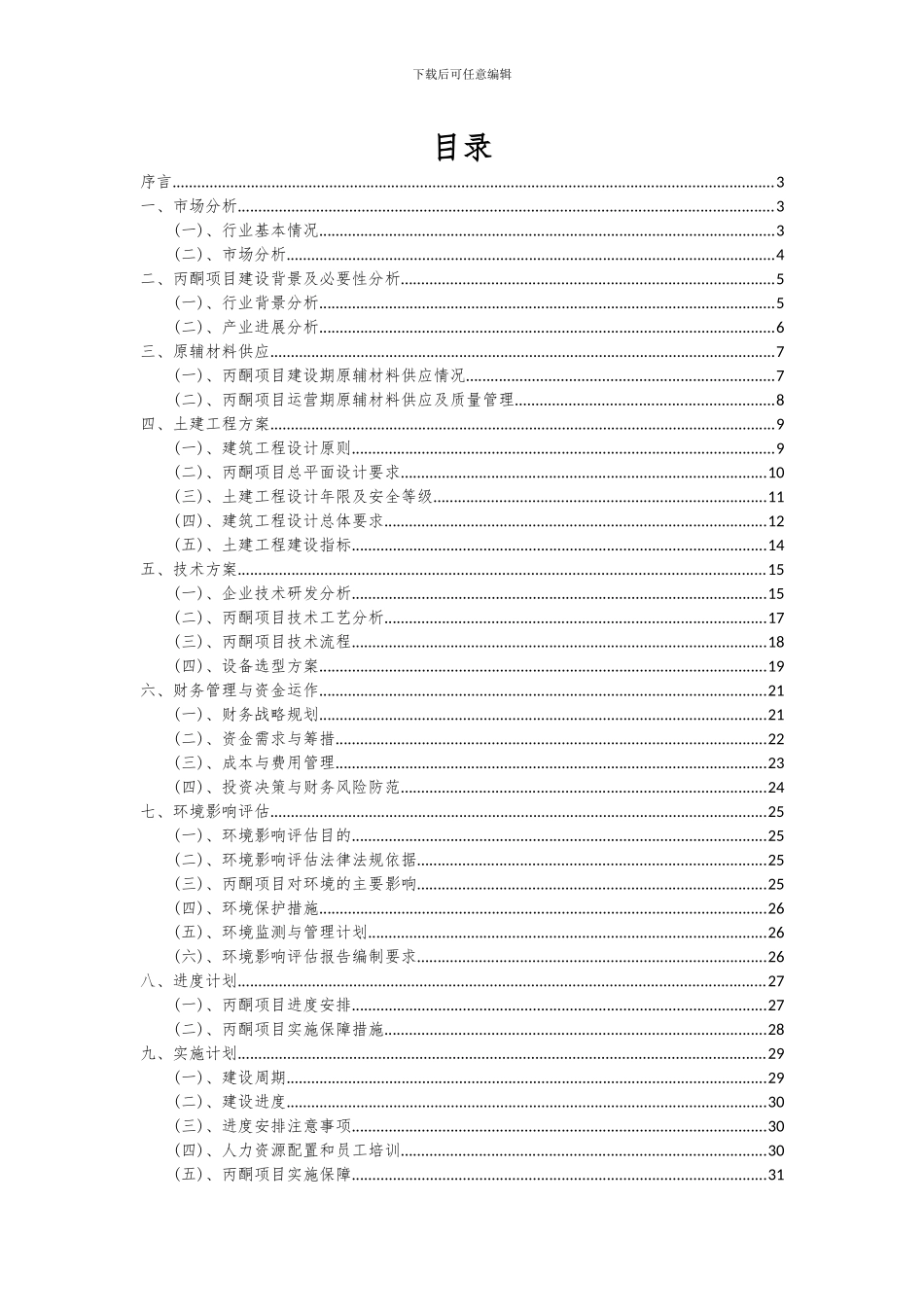 2024年丙酮项目深度研究分析报告_第2页
