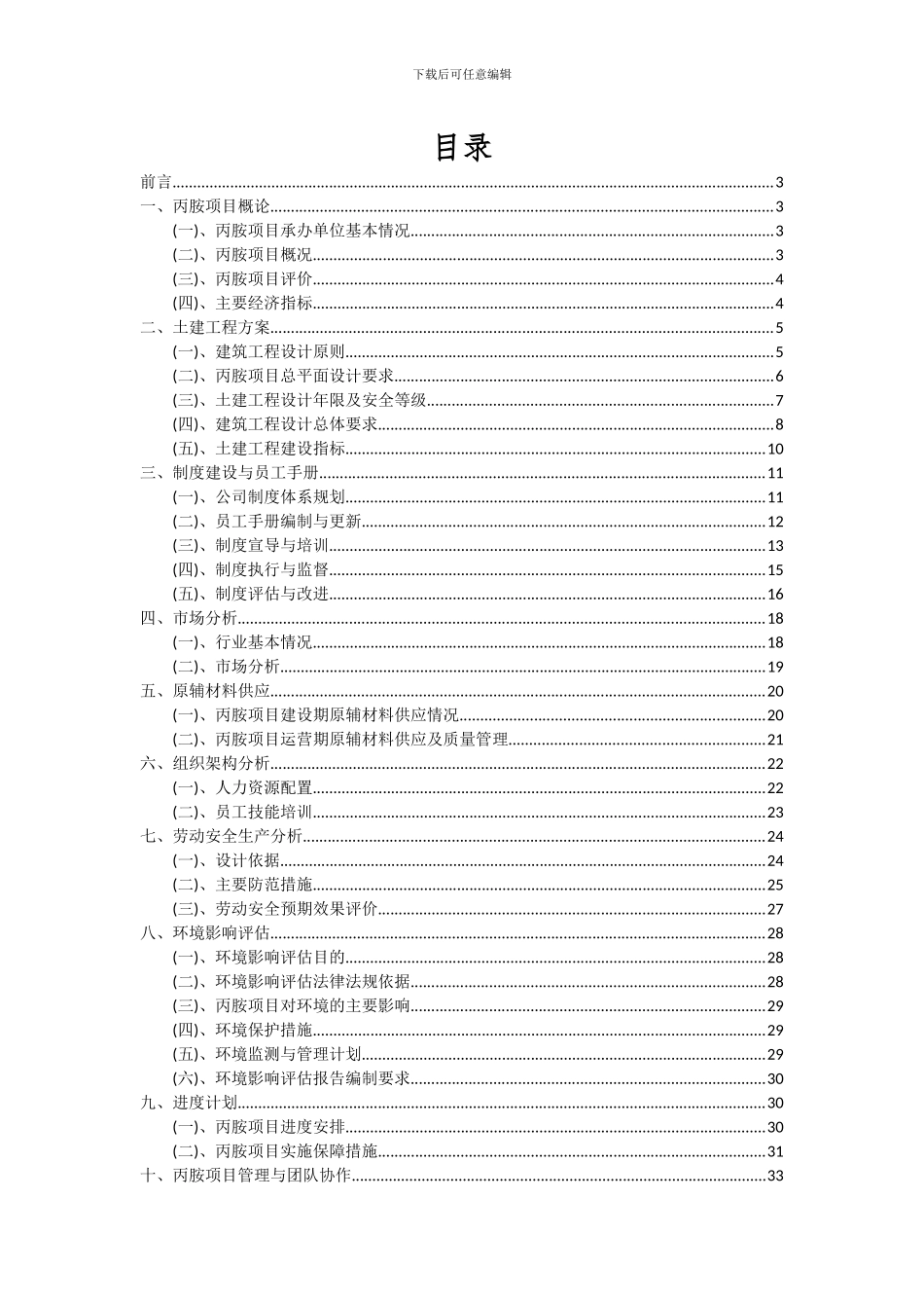 2024年丙胺项目深度研究分析报告_第2页