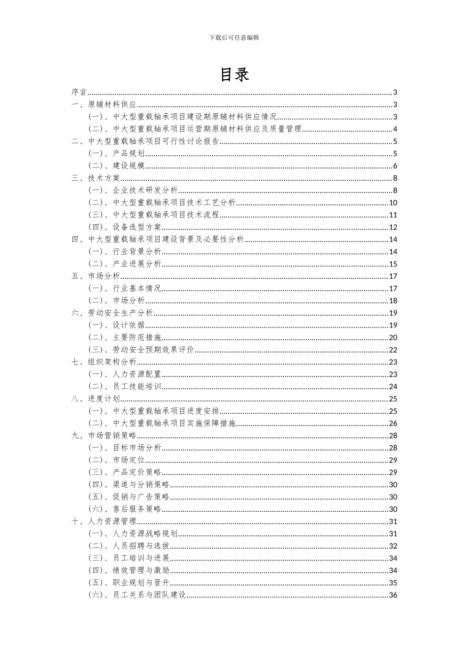 2024年中大型重载轴承项目可行性分析报告_第2页