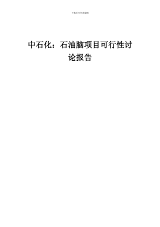 2024年中石化：石油脑项目可行性研究报告
