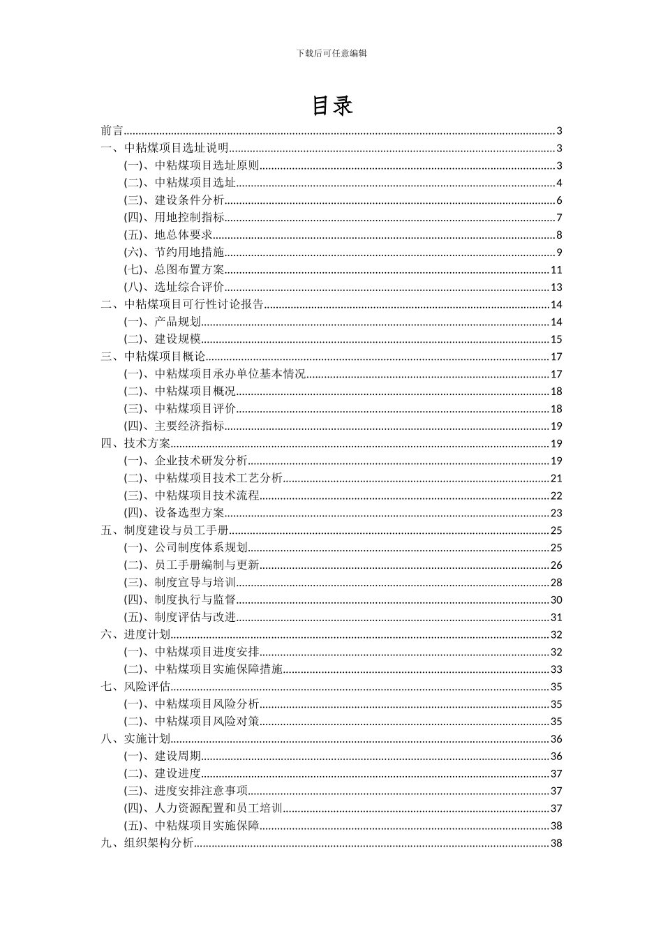 2024年中粘煤项目投资分析及可行性报告_第2页