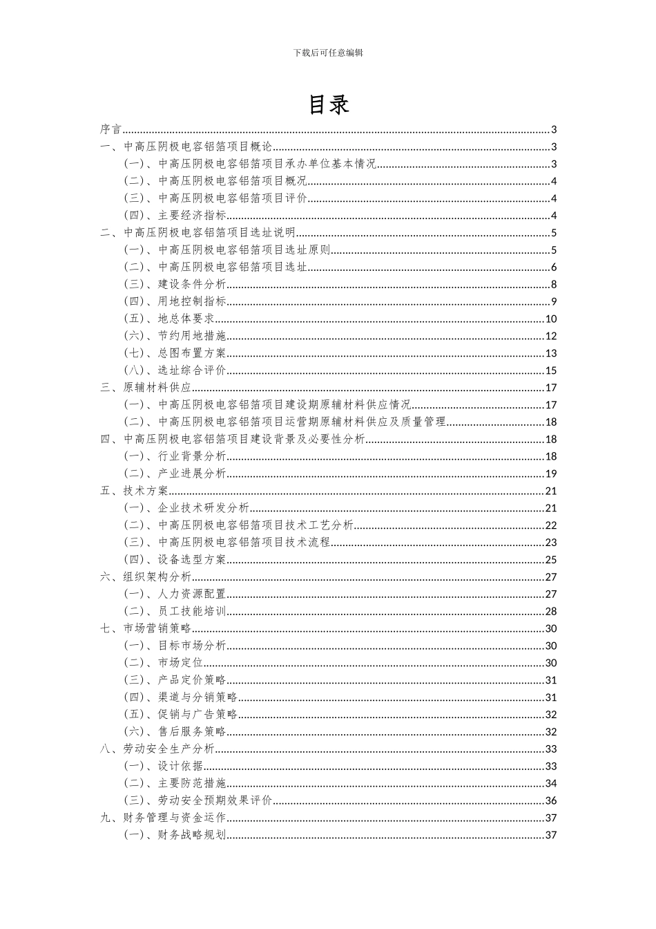 2024年中高压阴极电容铝箔项目可行性分析报告_第2页