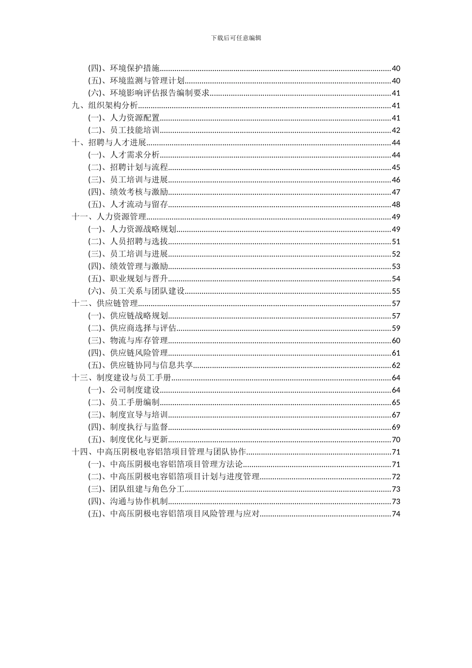 2024年中高压阴极电容铝箔项目深度研究分析报告_第3页