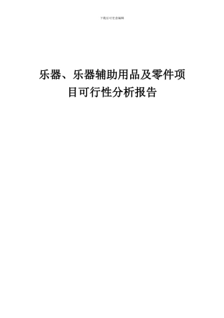 2024年乐器、乐器辅助用品及零件项目可行性分析报告