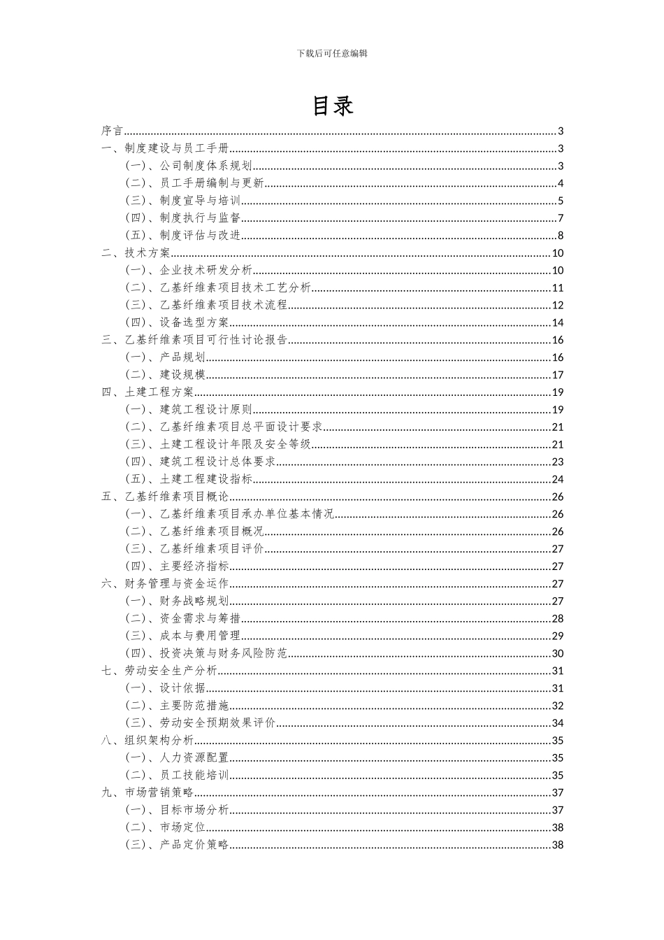 2024年乙基纤维素项目投资分析及可行性报告_第2页