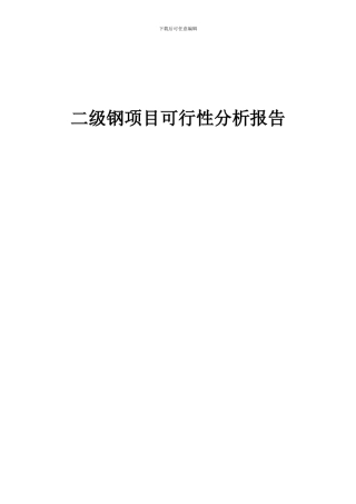 2024年二级钢项目可行性分析报告