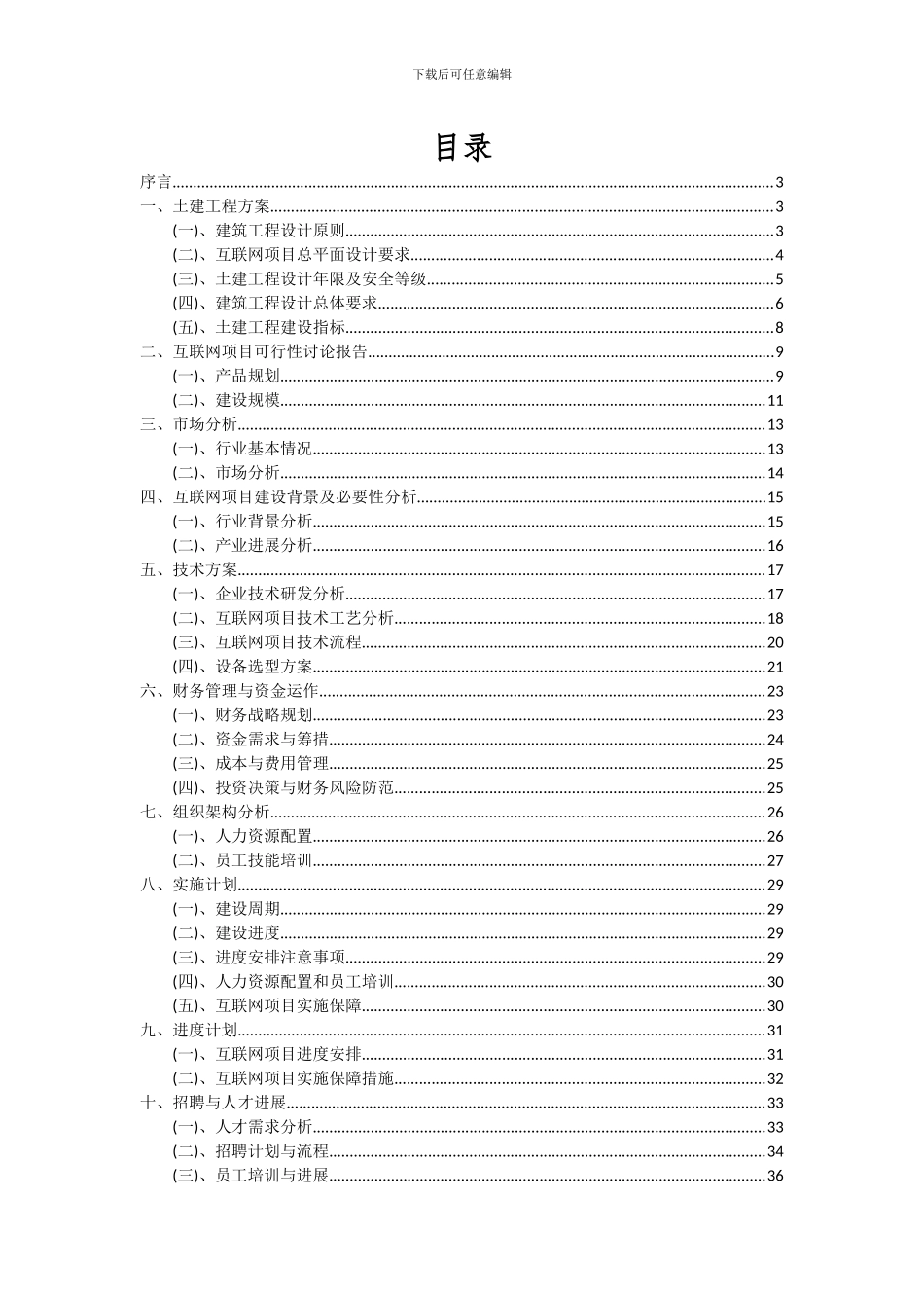 2024年互联网项目可行性分析报告_第2页