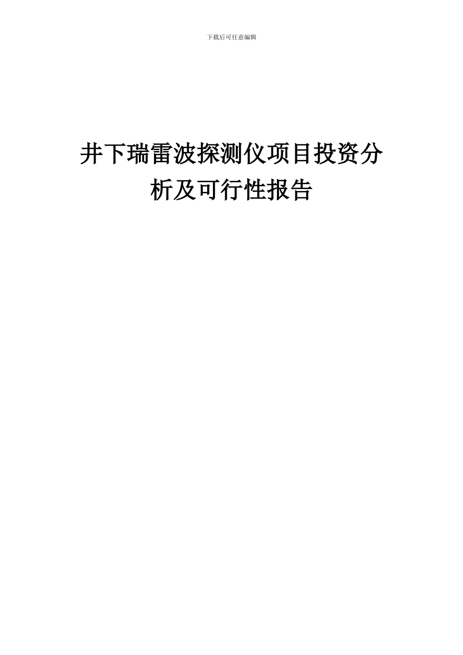 2024年井下瑞雷波探测仪项目投资分析及可行性报告_第1页