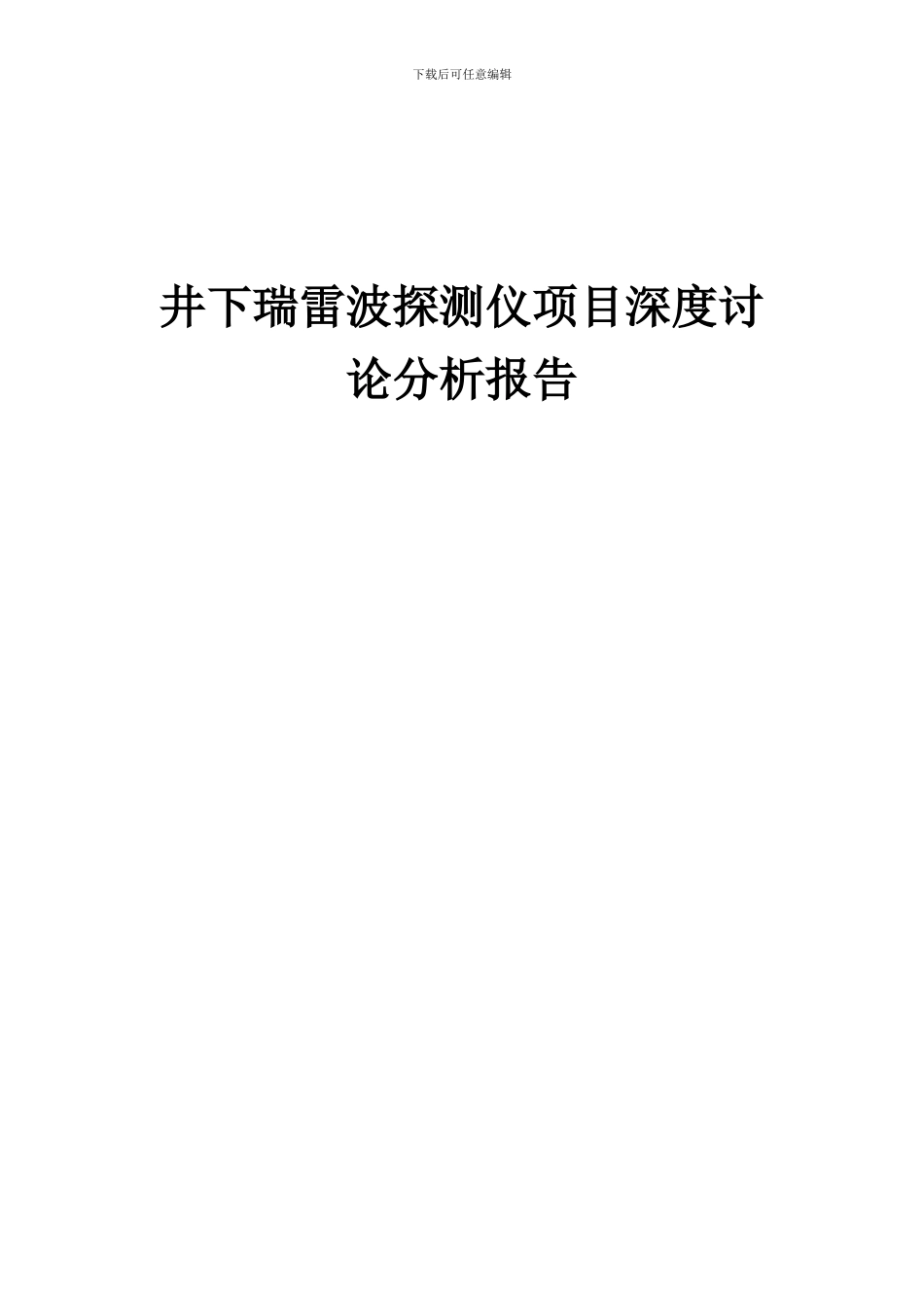 2024年井下瑞雷波探测仪项目深度研究分析报告_第1页