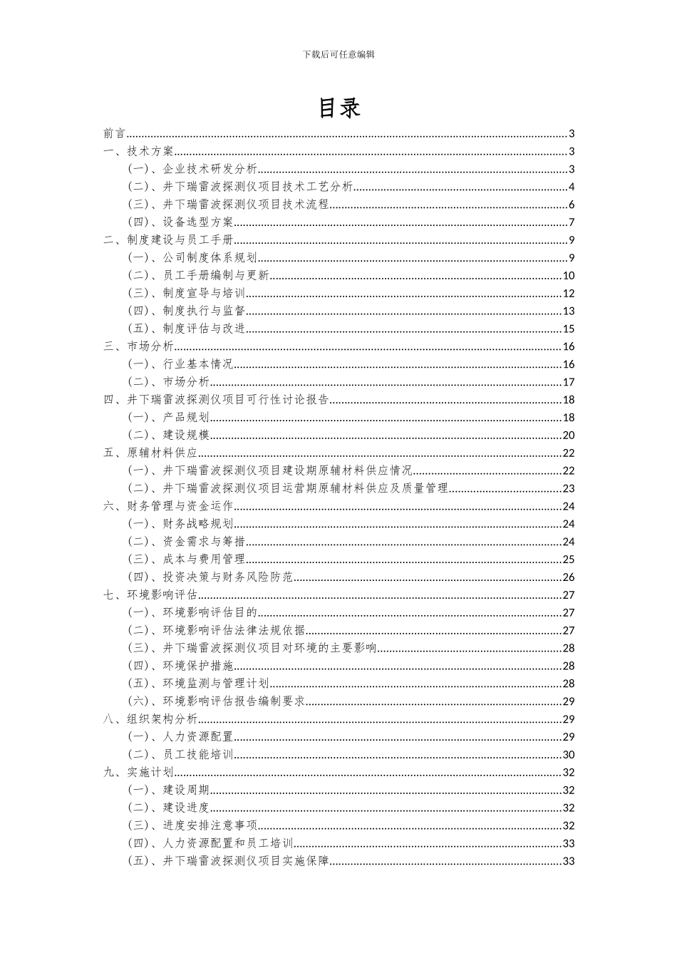 2024年井下瑞雷波探测仪项目可行性研究报告_第2页