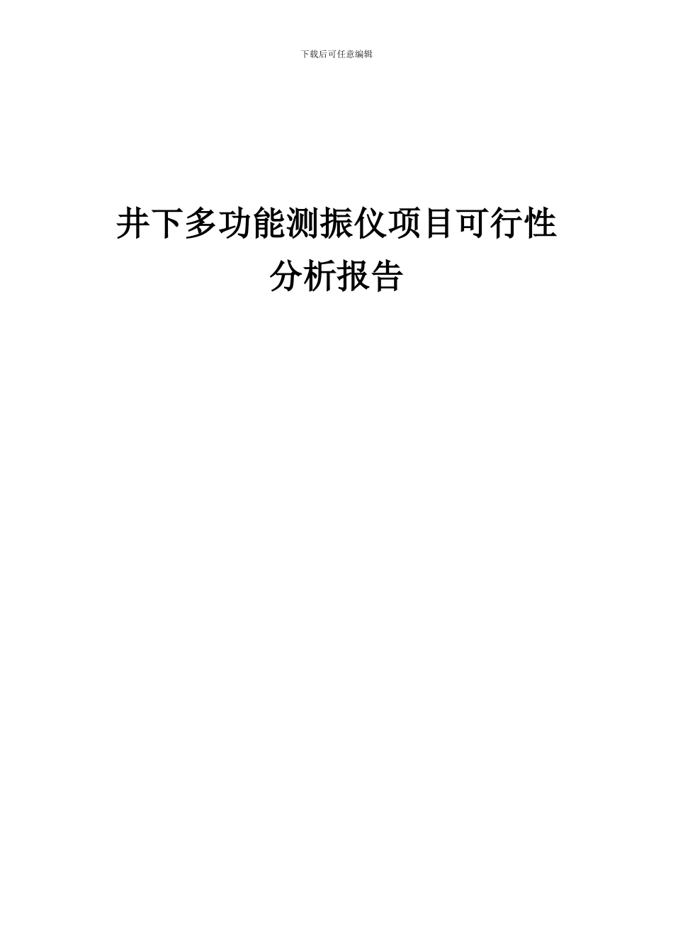 2024年井下多功能测振仪项目可行性分析报告_第1页