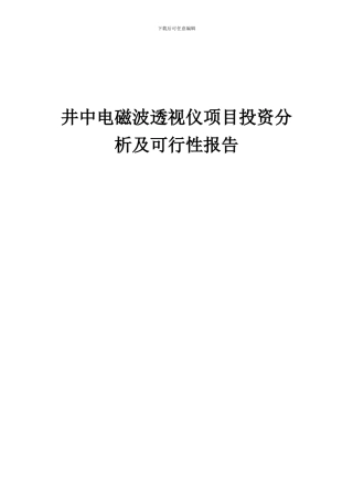 2024年井中电磁波透视仪项目投资分析及可行性报告