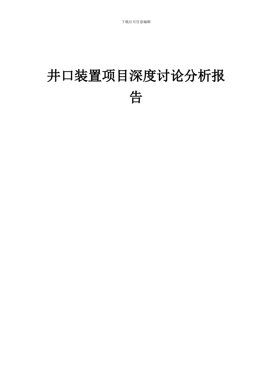 2024年井口装置项目深度研究分析报告_第1页
