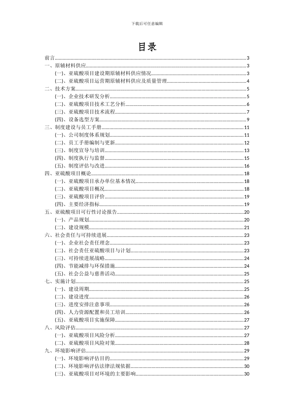 2024年亚硫酸项目可行性分析报告_第2页