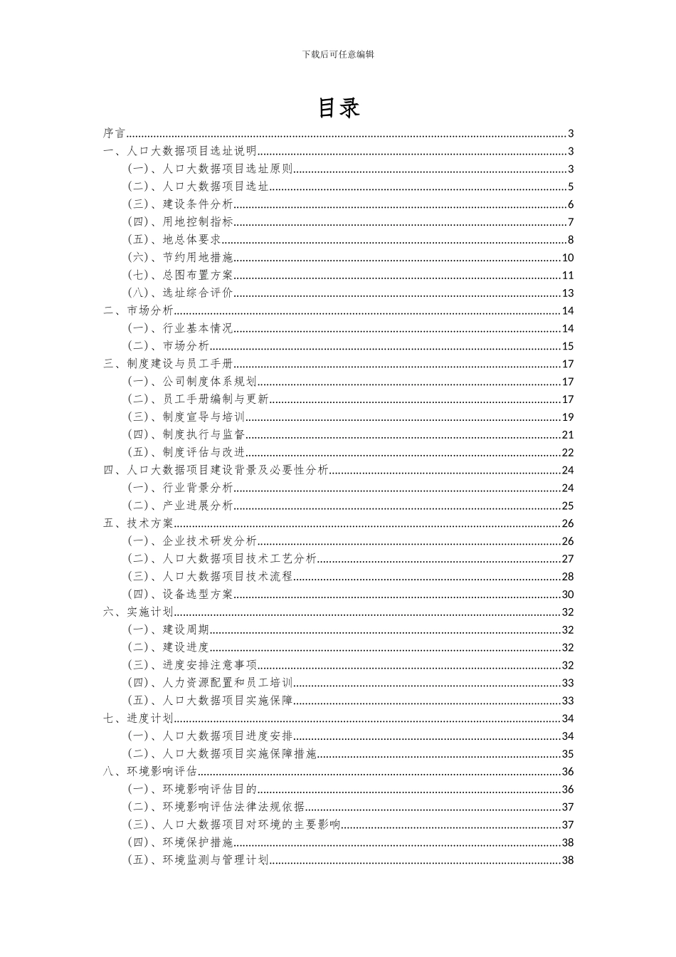 2024年人口大数据项目深度研究分析报告_第2页