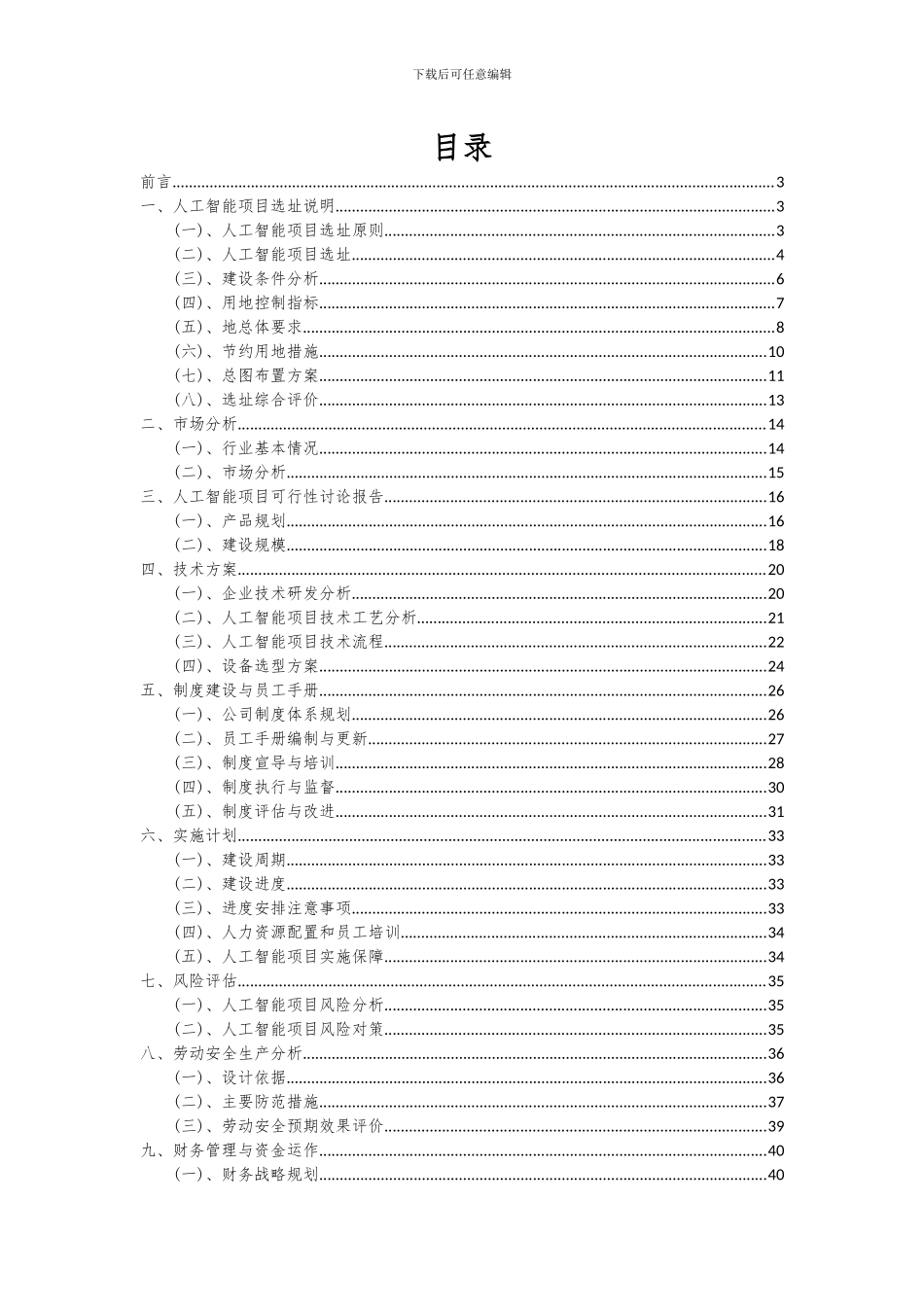 2024年人工智能项目深度研究分析报告_第2页