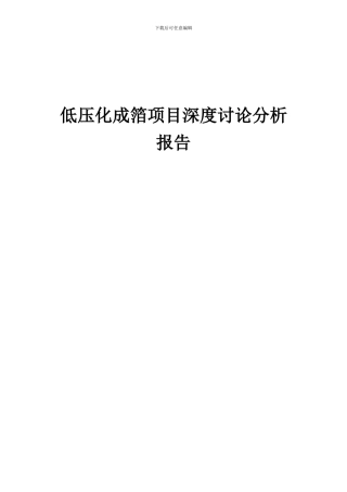 2024年低压化成箔项目深度研究分析报告