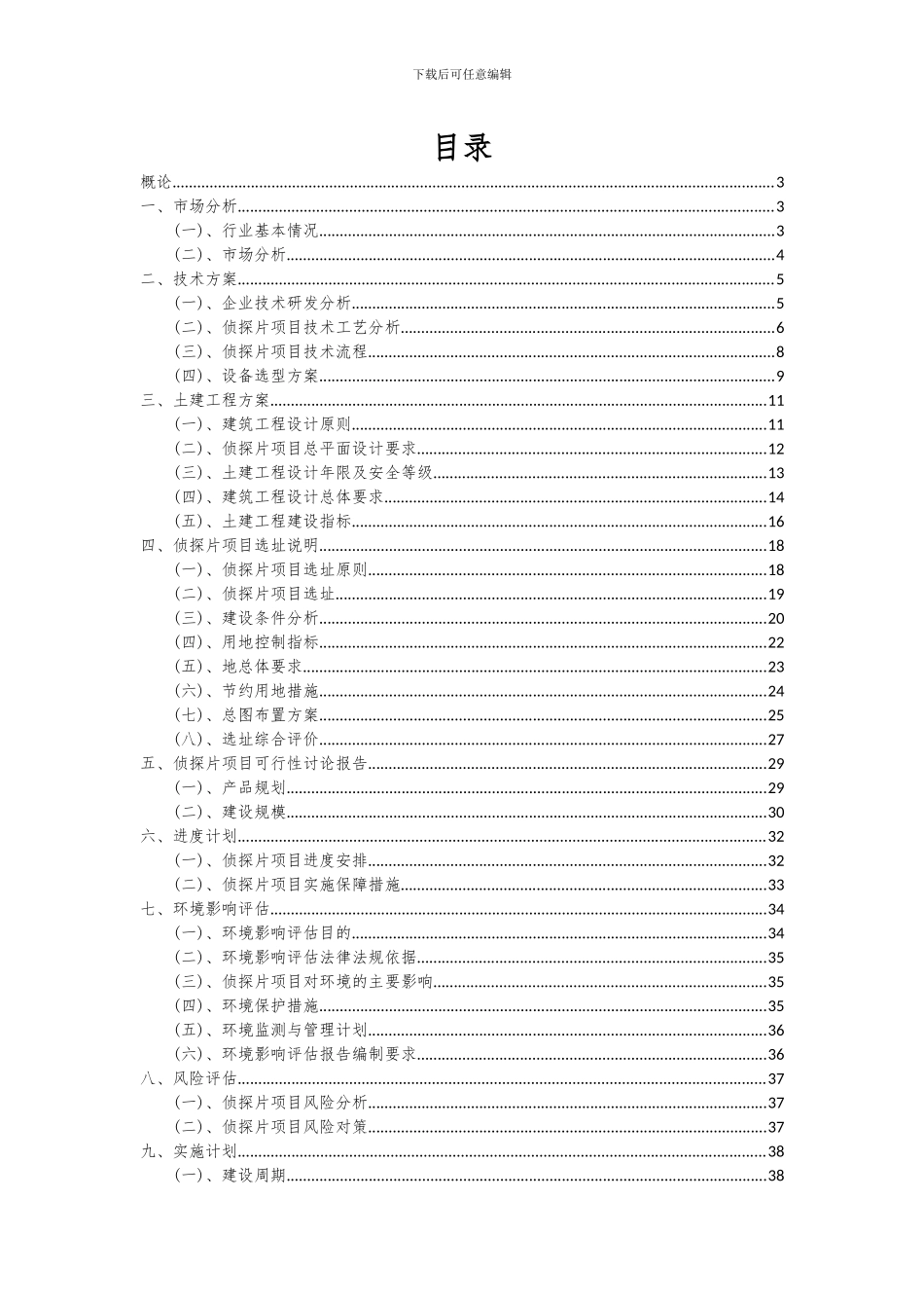 2024年侦探片项目可行性分析报告_第2页