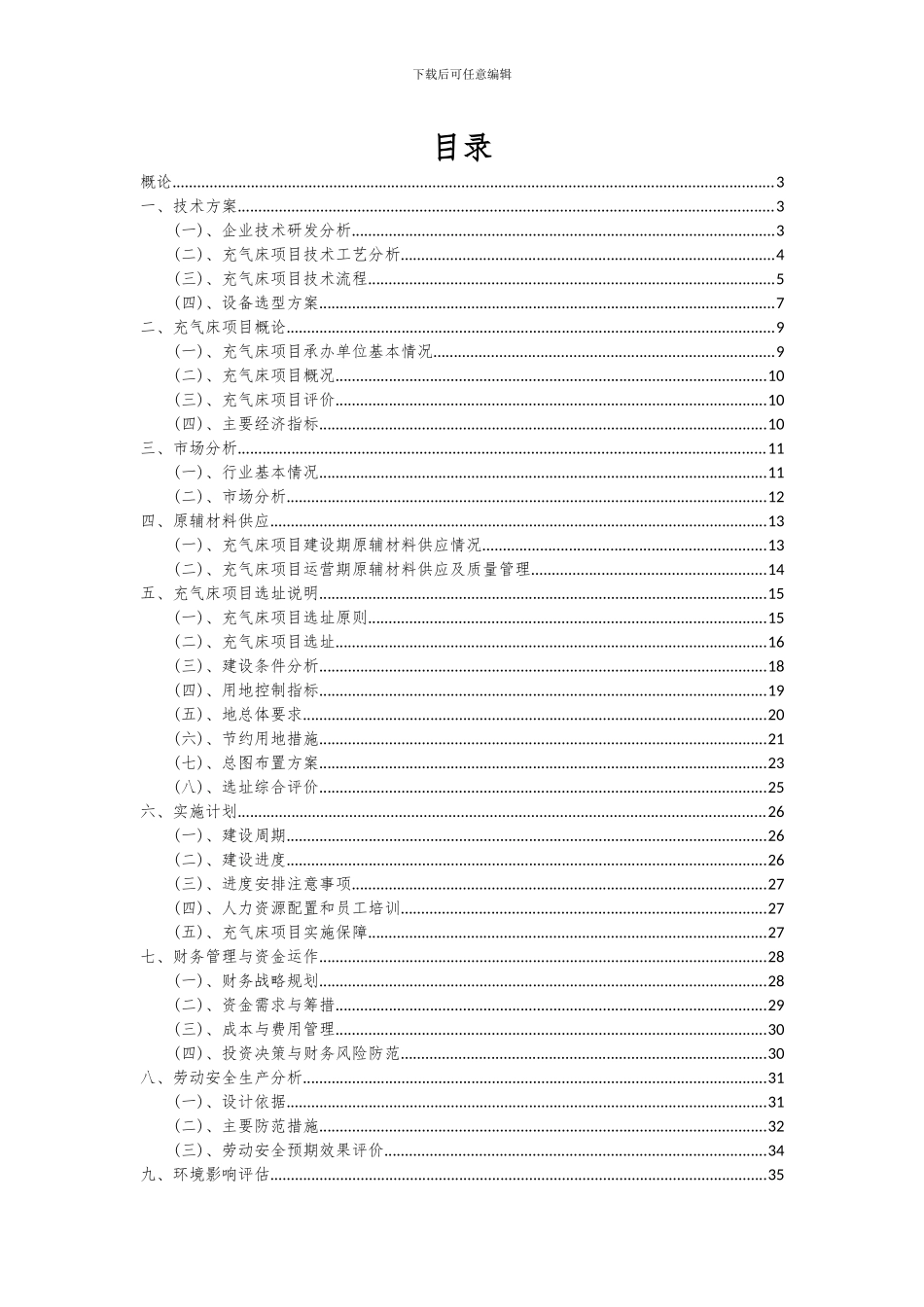 2024年充气床项目可行性研究报告_第2页