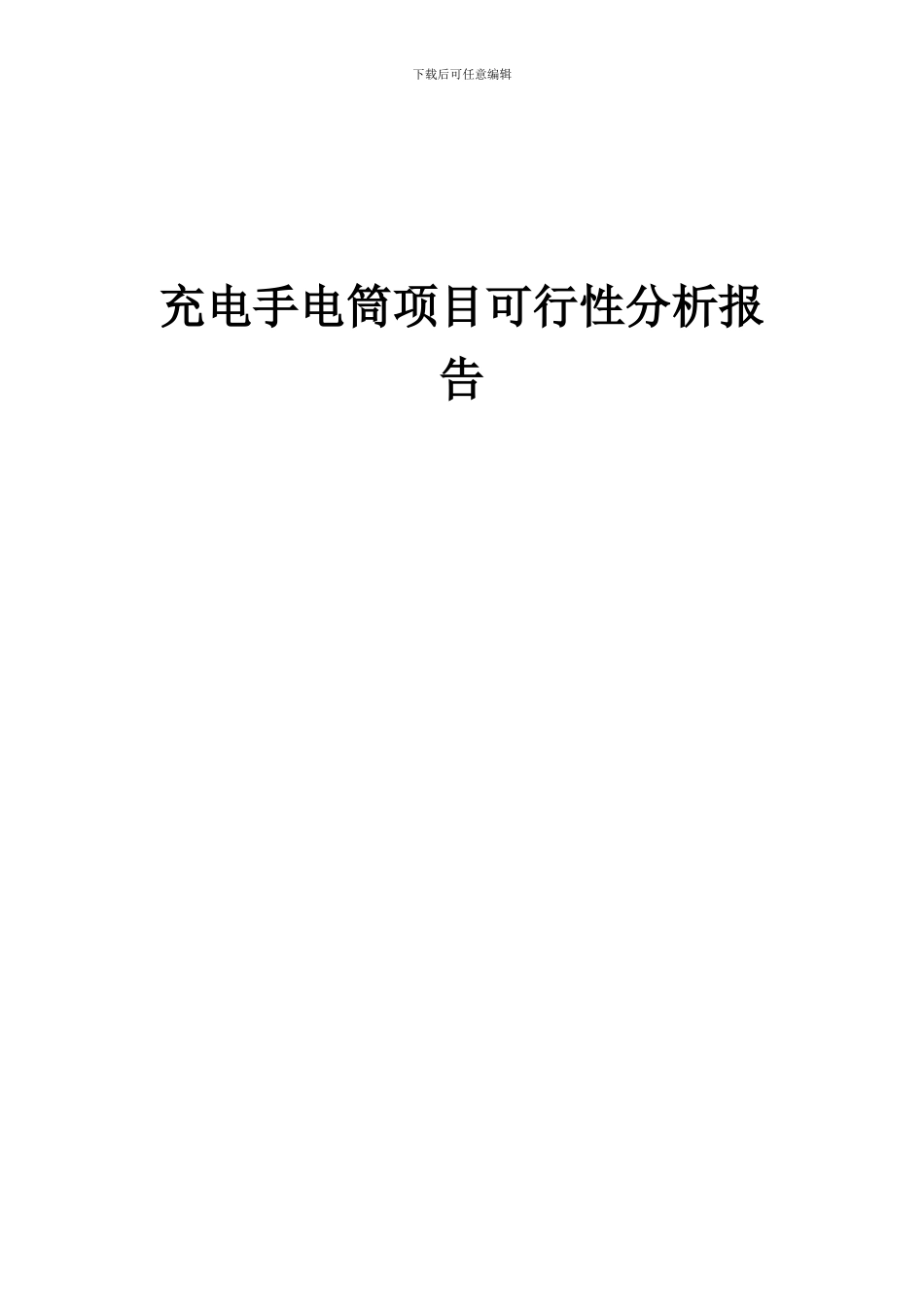 2024年充电手电筒项目可行性分析报告_第1页
