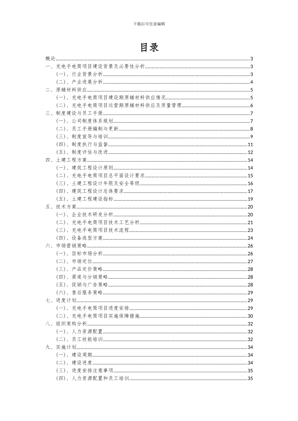 2024年充电手电筒项目可行性分析报告_第2页