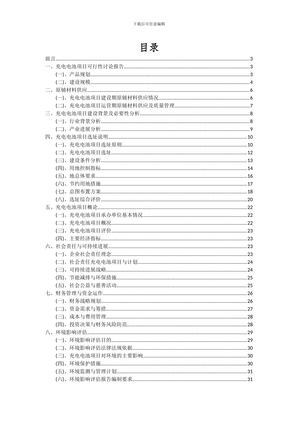 2024年充电电池项目可行性分析报告_第2页
