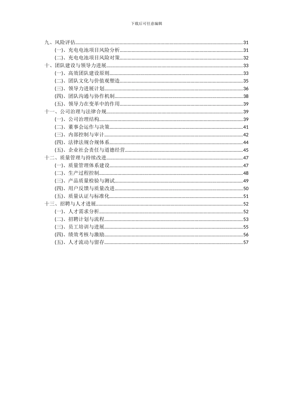 2024年充电电池项目可行性分析报告_第3页