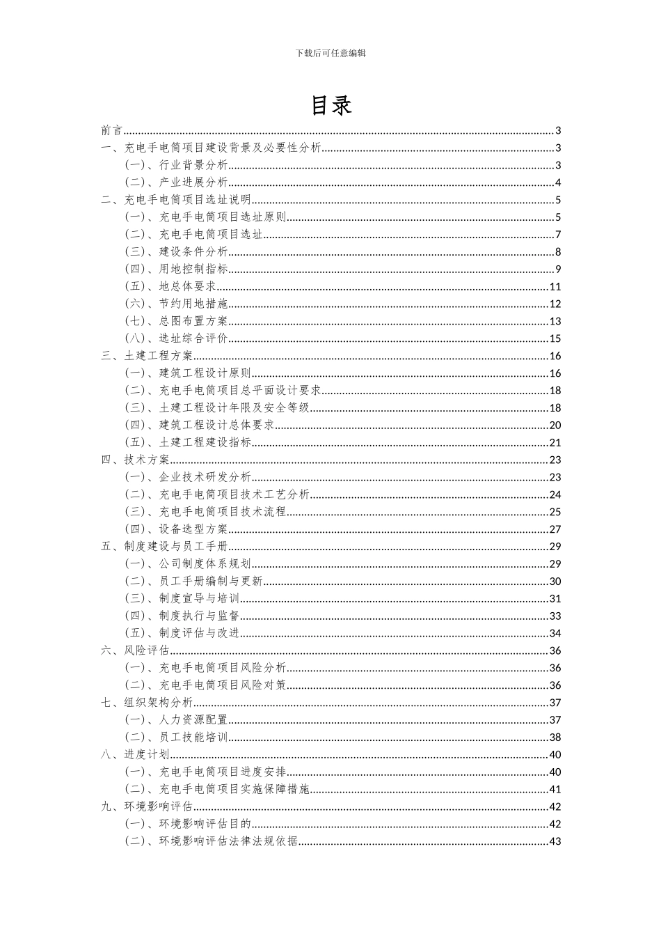 2024年充电手电筒项目深度研究分析报告_第2页